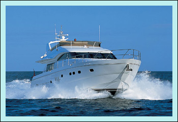 Yacht Palm