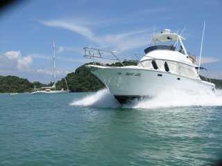 Your  PD Yacht